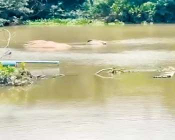 Dragas ilegais foram encontradas j dentro do Rio Una (DIVULGAO/PCPE)