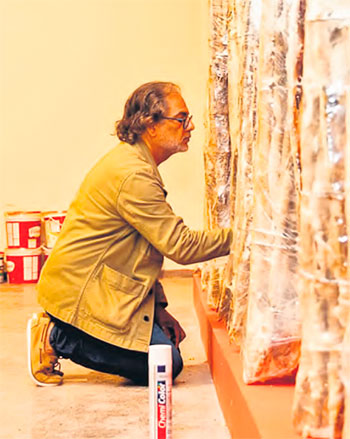 Mostra de Jaildo Marinho tem curadoria de Mrio Hlio (DIVULGAO)